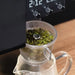 Xbloom Tea Brewer for xBloom Studio Coffee Machine